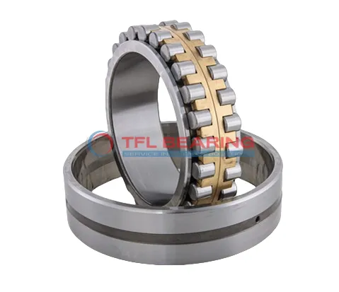 Double Row Cylindrical Roller Bearings 315976 B